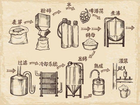 關(guān)于啤酒的知識(shí)，看這一文就夠了